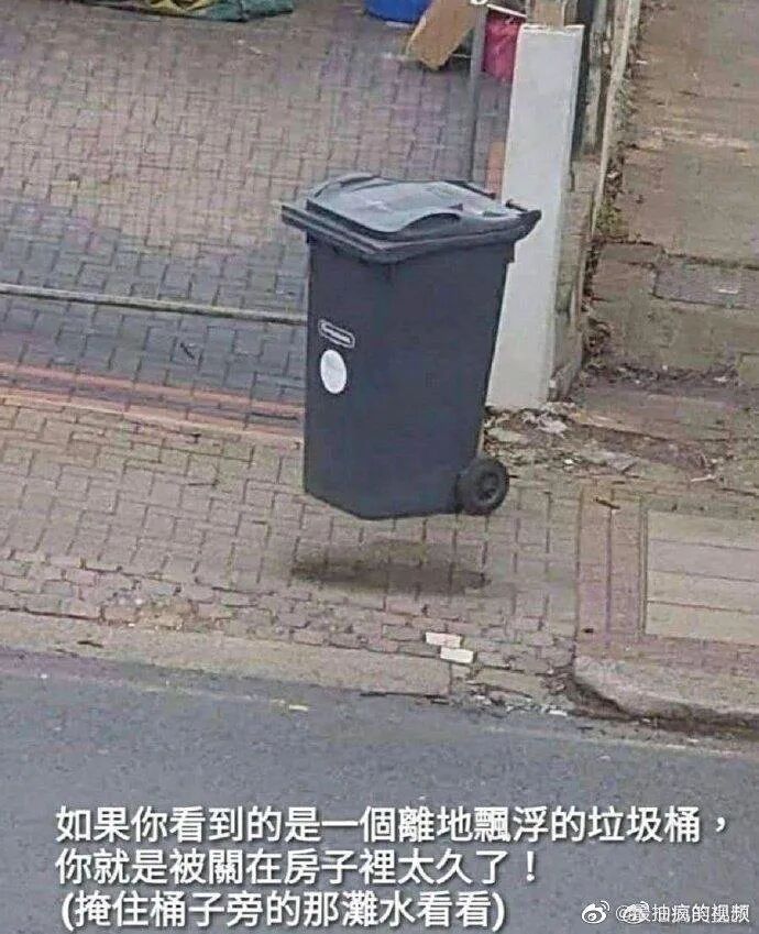 我第一眼真看错了