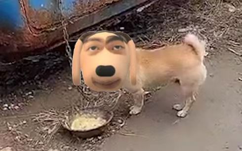 炫狗