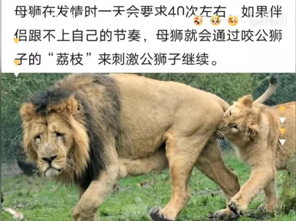 战败结算画面