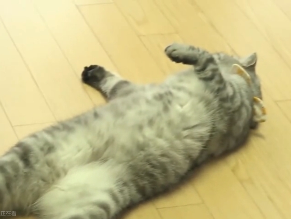 下班后无精打采.图