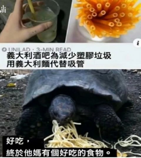 意大利面吸管？