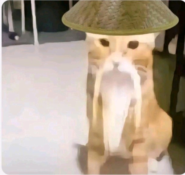 哈气大师
