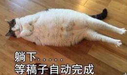 没票票的猫猫是这样的