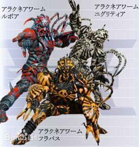 蜘蛛祭天——成虫