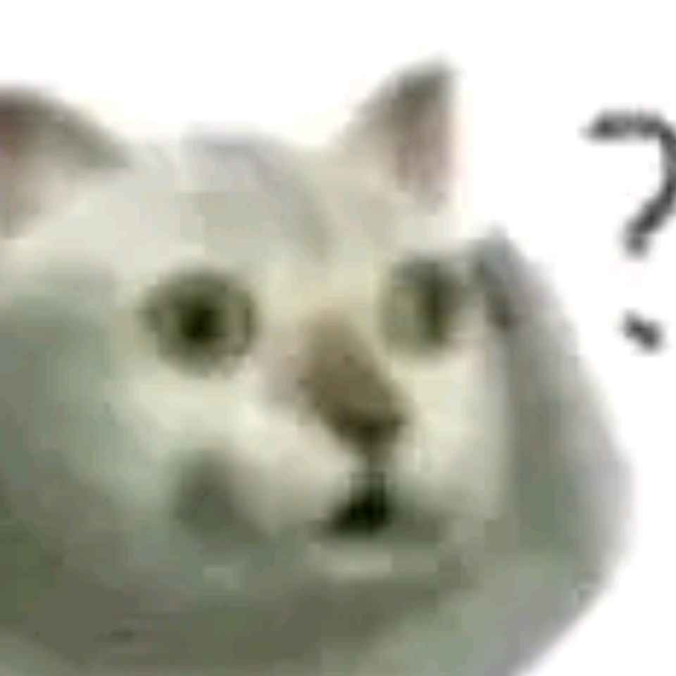 猫猫挠头