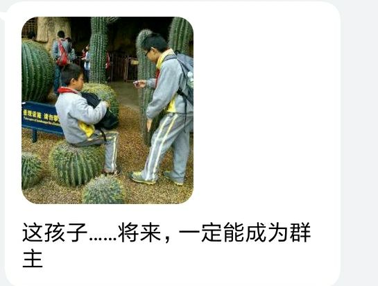 天生群主