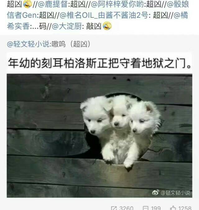 三头犬敲凶哒