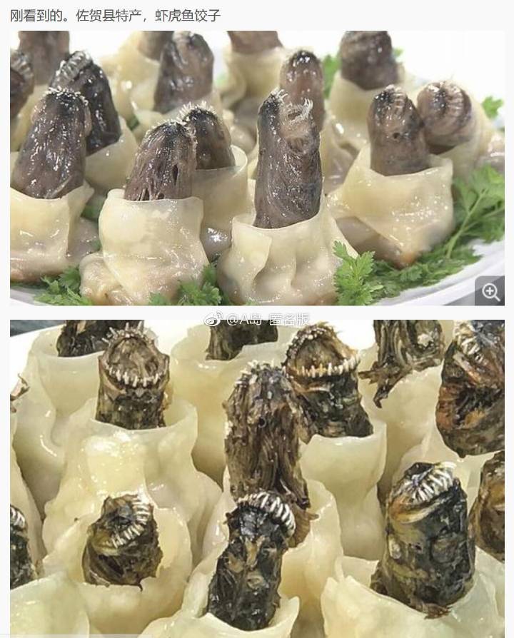 日本版仰望星空