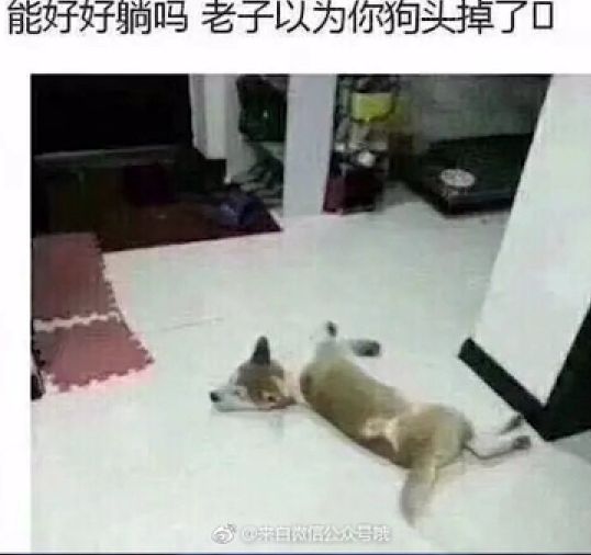 第一眼吓到我了
