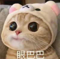 眼巴巴