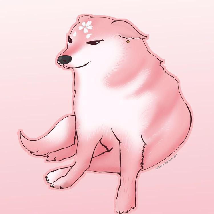 神子此时的表情