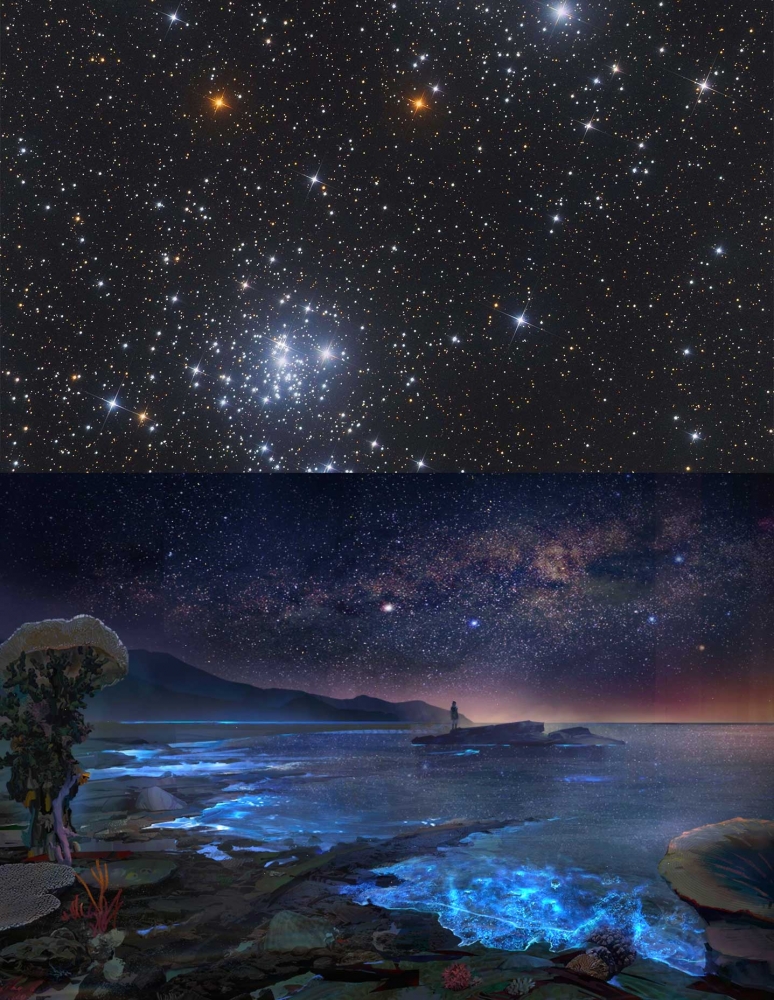 星空参考