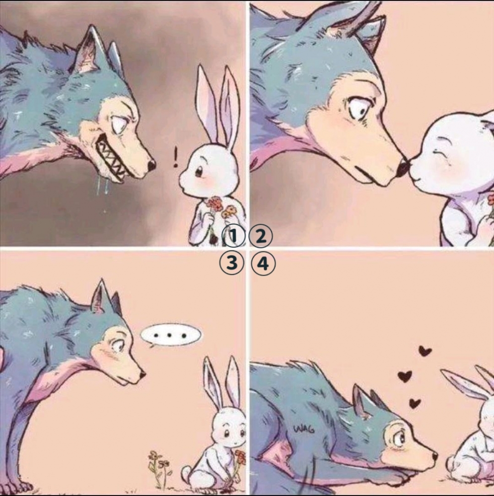 容嘉眼中的凶萌小狼