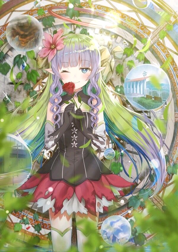 菲欧