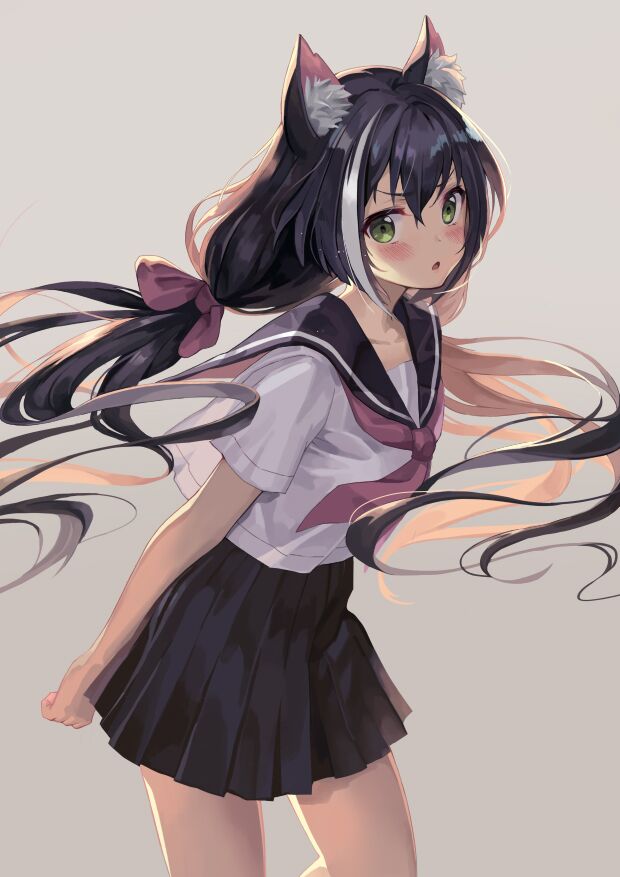 黑猫
