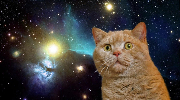 宇宙猫猫