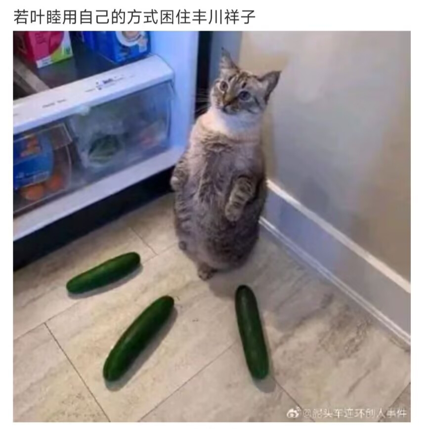 梗图