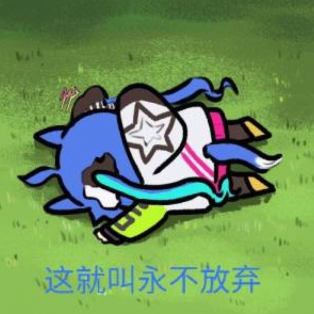 这就是永不放弃！