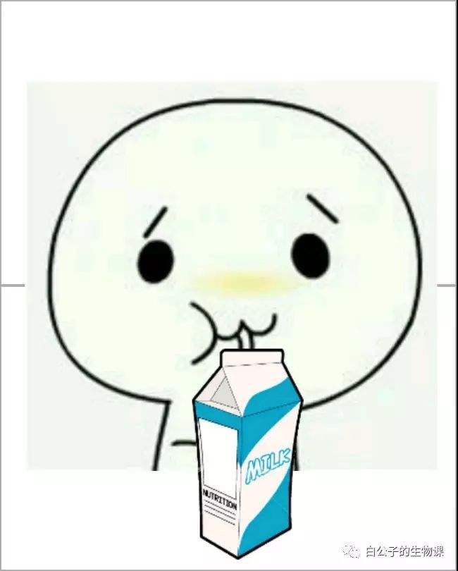 咕噜噜