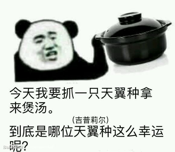 小吉炖蘑菇