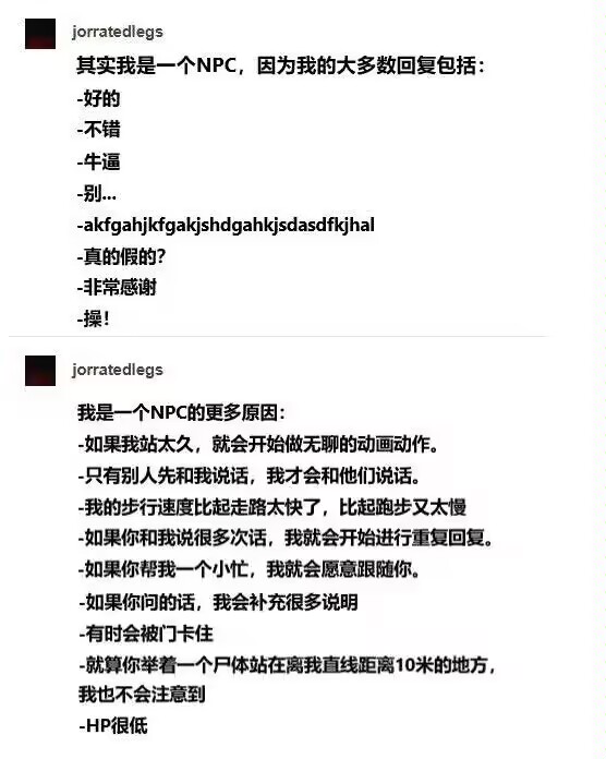 原来我是NPC啊……