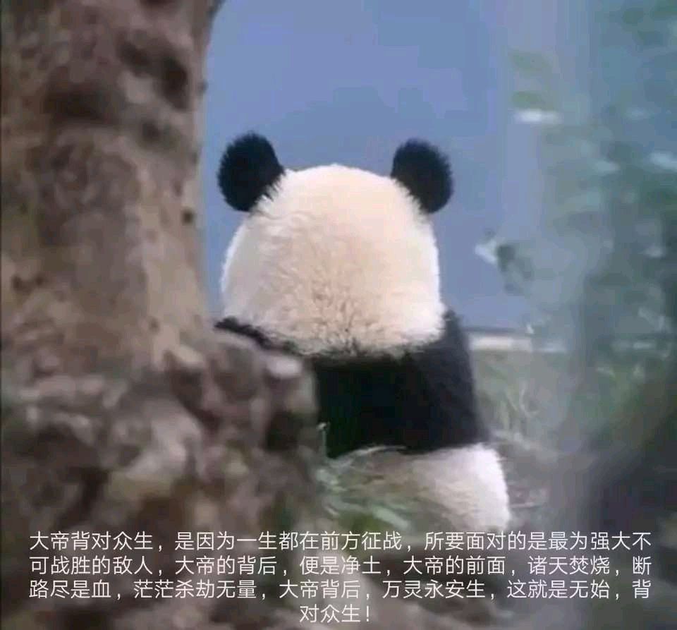今天周四了……