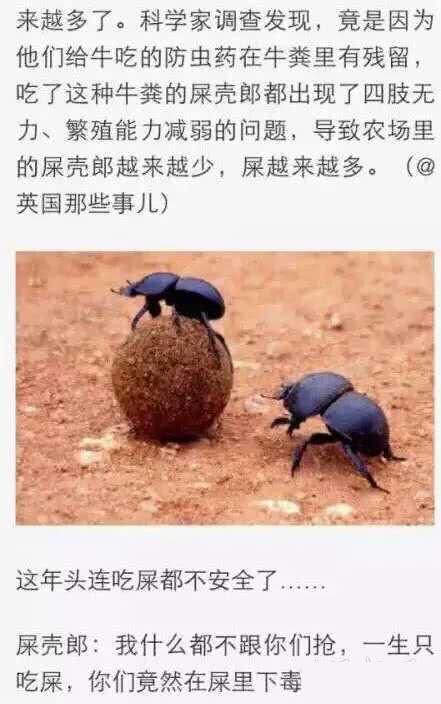 这年头吃S都不安全