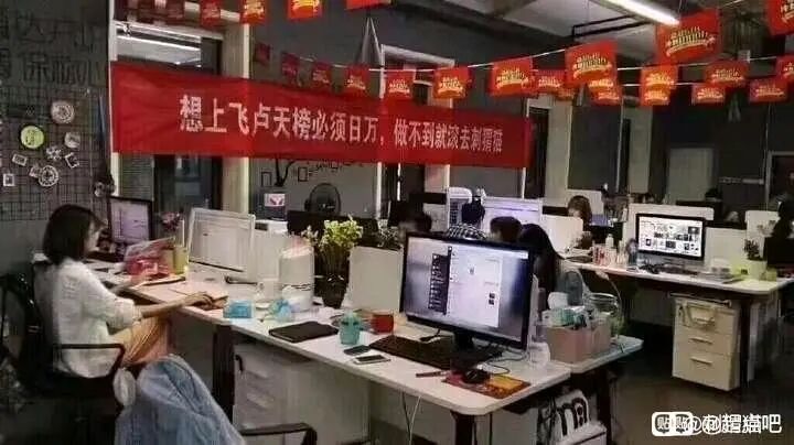 你猜我为什么来刺猬猫