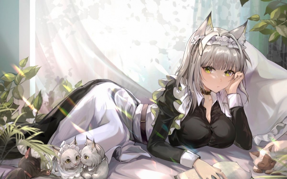 垫了多少呀老猞犭