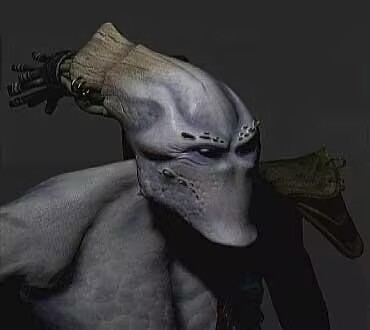 大主教高清果照