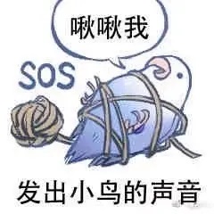 小鸟求救