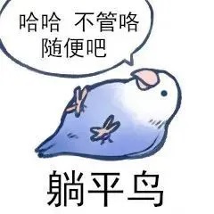 小鸟躺平