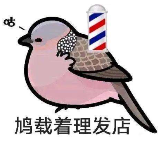 鸠载着理发店