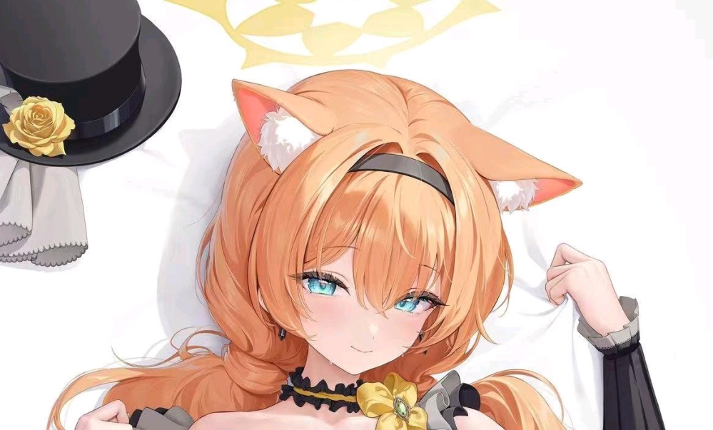 为师的爱猫