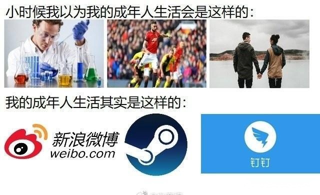 部分真实
