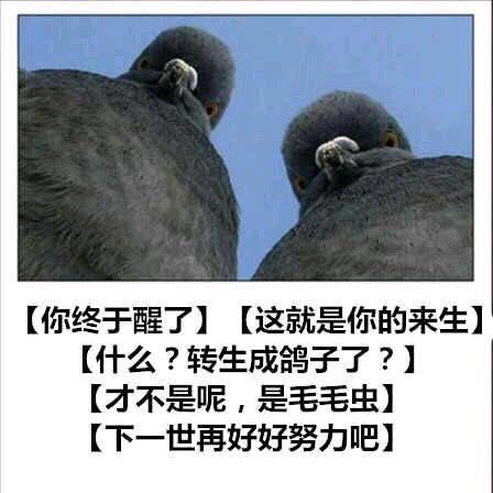 咕咕咕