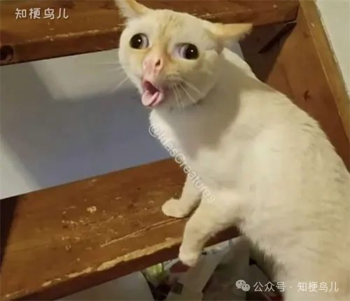安静