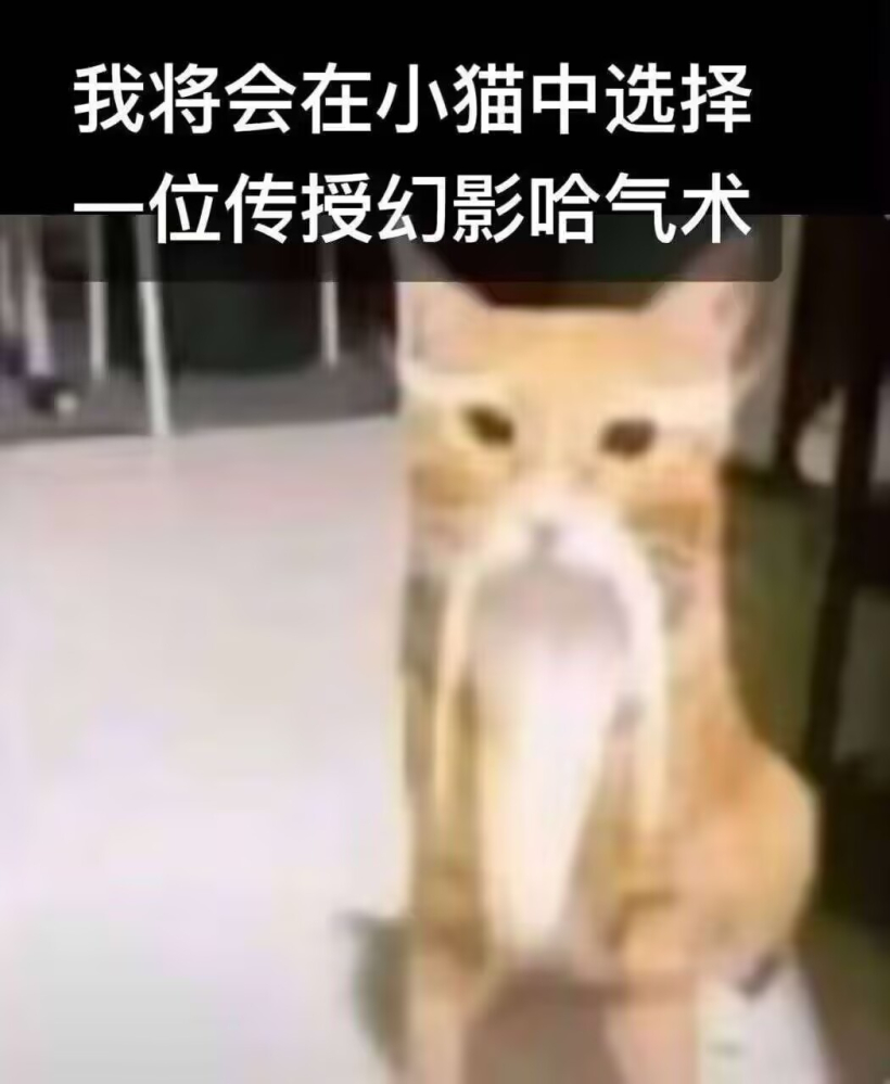 幻影哈气术