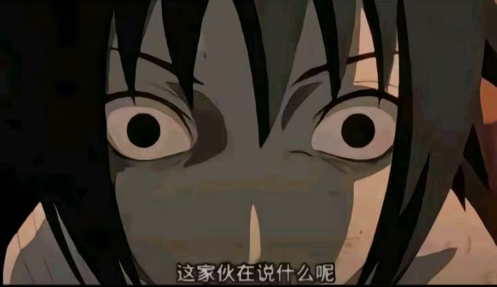 这家伙在说什么呢？