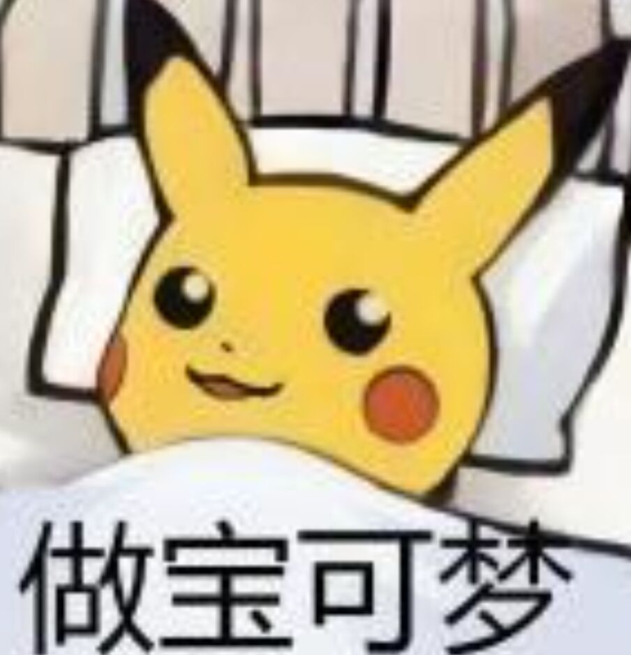做宝可梦