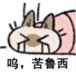 呜，苦鲁西…
