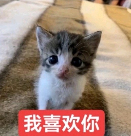 我喜欢大家！
