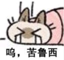 苦鲁西