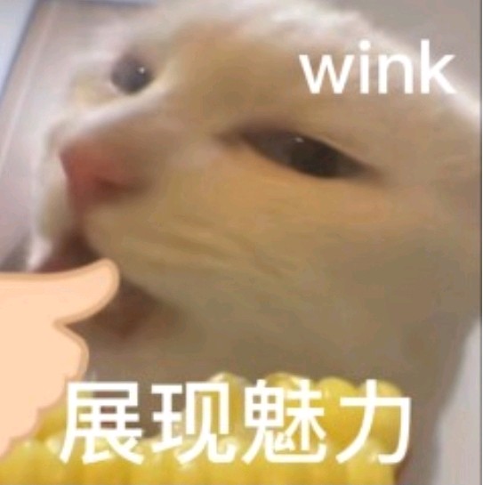 展示魅力