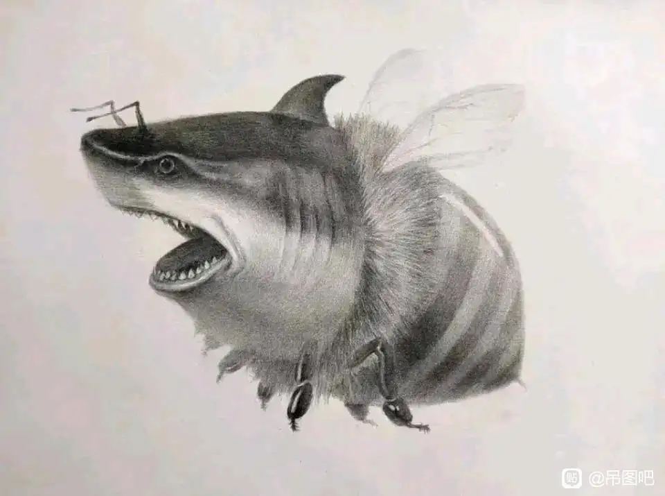 这是什么生物？