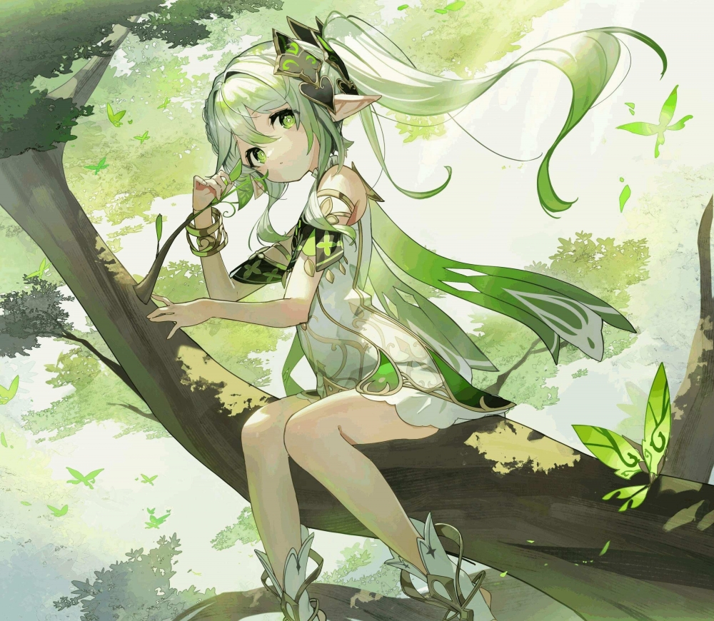 小吉祥草王
