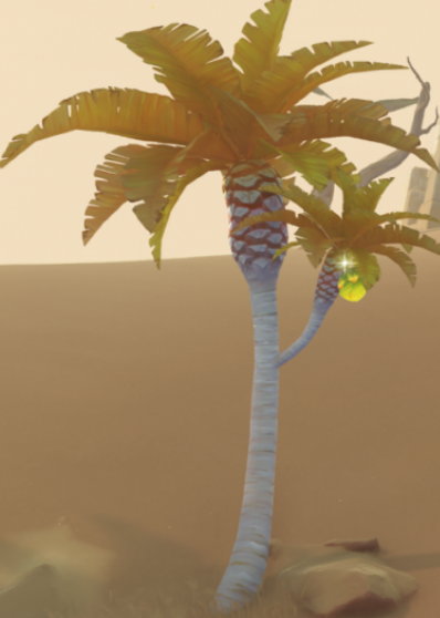 沙漠植物之枣椰树