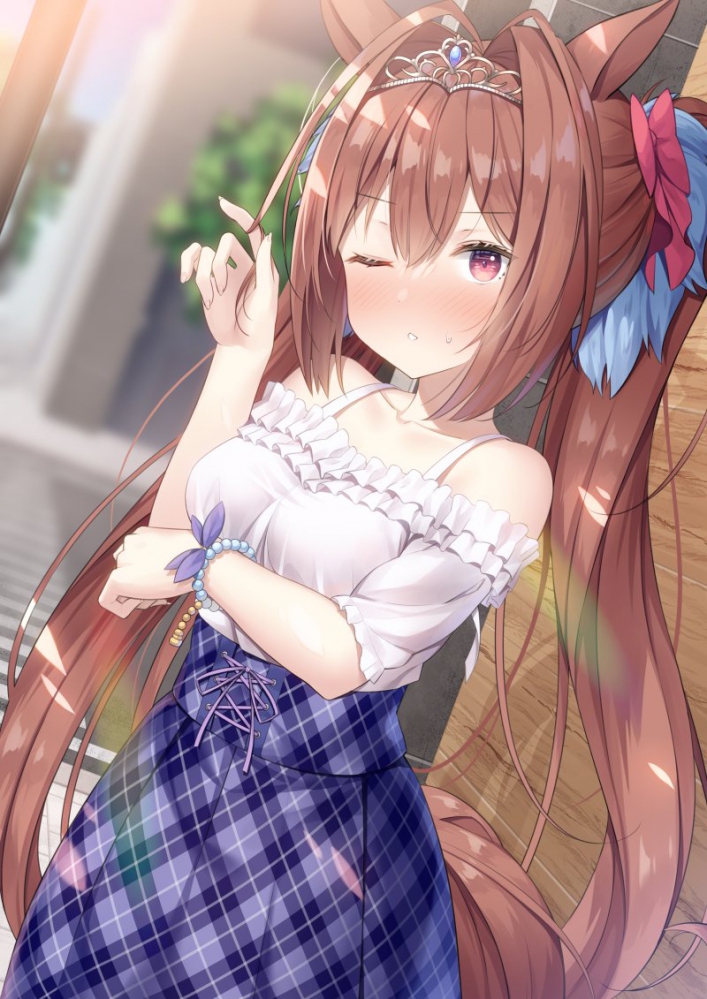 大和赤骥