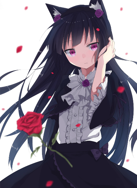 黑喵的朋友很多＝ｗ＝