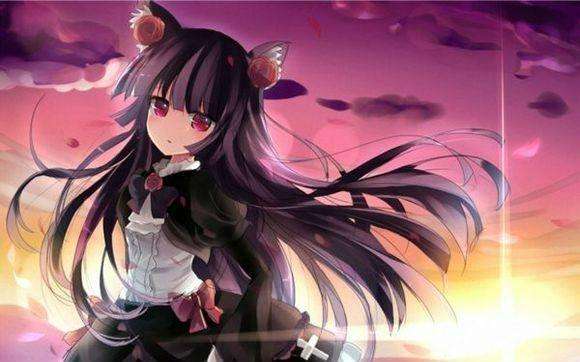 最萌的黑貓終成喵